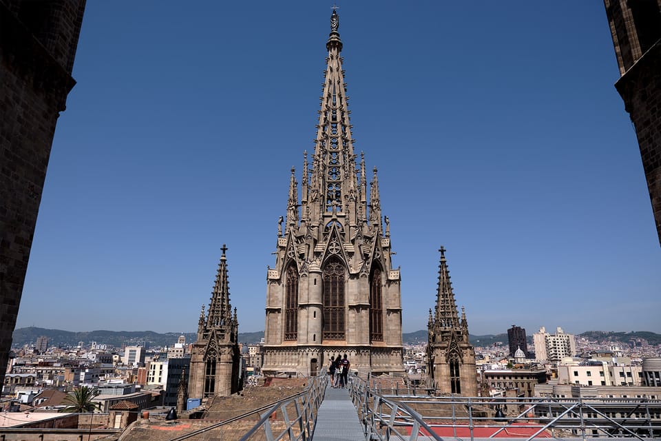 Barcelona: Cathedral of Barcelona Entry Ticket - Well of Geese: why it works better than it sounds
