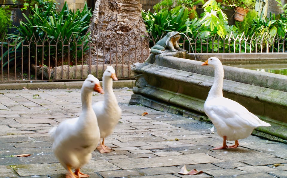 Barcelona: Cathedral of Barcelona Entry Ticket - Sant Sever Church ticket: a useful bonus, but don’t overstuff your day