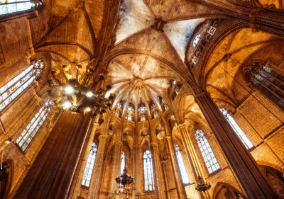 Barcelona Cathedral: Ticket, Guided Tour and VR Experience - Meeting at Pla de la Seu: How to Find the Guide Fast