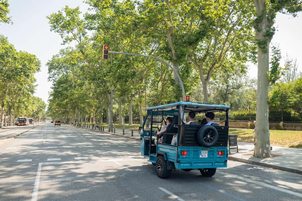 Barcelona: City Highlights Private Tuk-Tuk Tour - Montjuïc hilltop views: the panorama that reshapes your photos