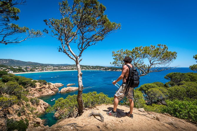 Barcelona: Costa Brava Easy Hike, Snorkel, Cliff-Jump & Meal - 8:30 a.m. logistics: how the day flows without stress