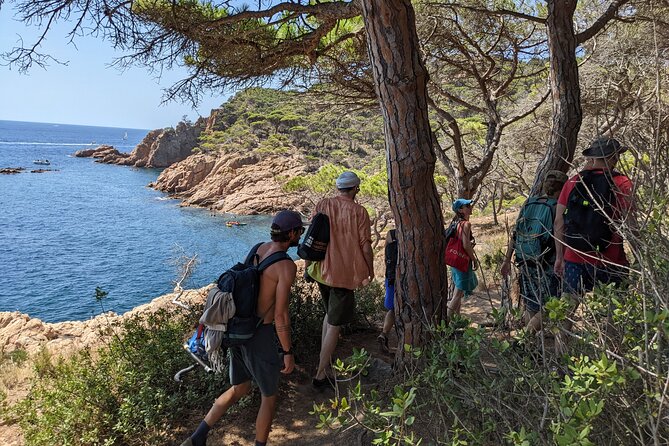 Barcelona: Costa Brava Easy Hike, Snorkel, Cliff-Jump & Meal - Golden sand and the start of the Camí de Ronda-style walk