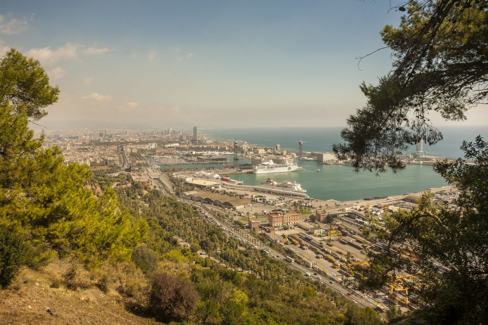 Barcelona: E-Bike Tour with Montjuic Cable Car & Boat Ride - Back Down Toward the Waterfront: Olympic Ring Energy