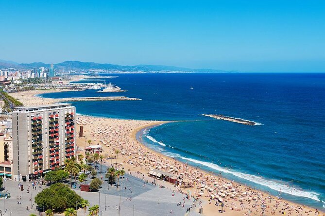 Barcelona eBike Beach Private Tour to Vineyards & Picnic - Key things to know before you go