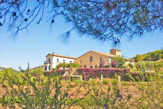 Barcelona eBike Beach Private Tour to Vineyards & Picnic - Price and time: does $302 feel fair?
