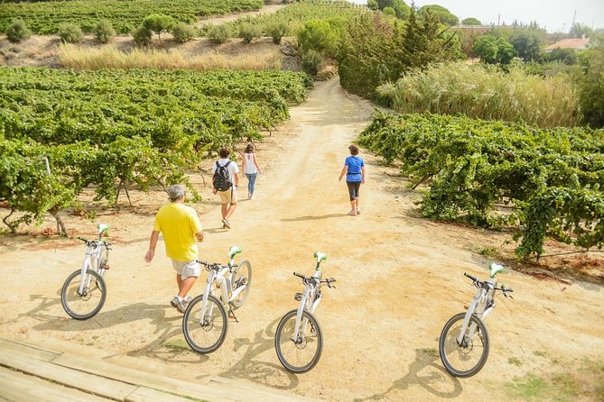 Barcelona eBike Beach Private Tour to Vineyards & Picnic - Who this tour suits (and who should choose a different plan)