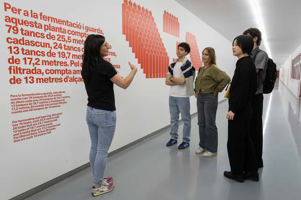 Barcelona: Estrella Damm Brewery Guided Tour with Tasting - The tasting: how the organoleptic session works (and how to enjoy it)