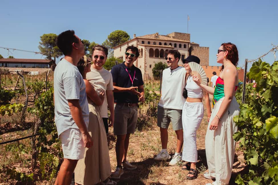 Barcelona: Full-Day Montserrat & Wine Small Group Tour - The winery setting: why a castle changes the wine story