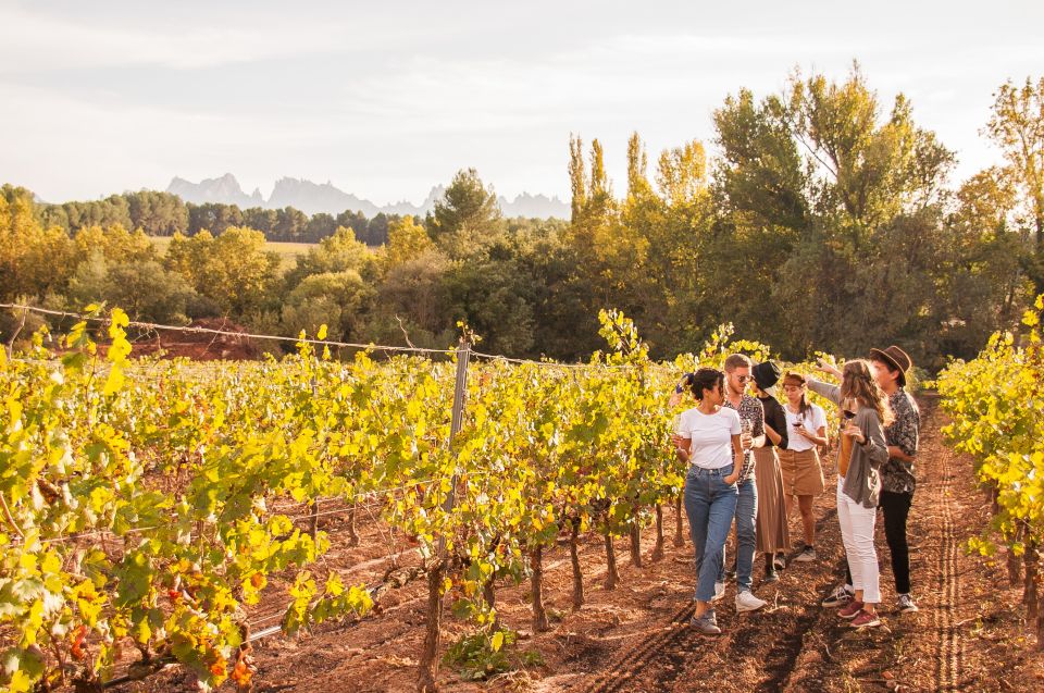 Barcelona: Full-Day Montserrat & Wine Small Group Tour - Price and value: what $122 really buys you