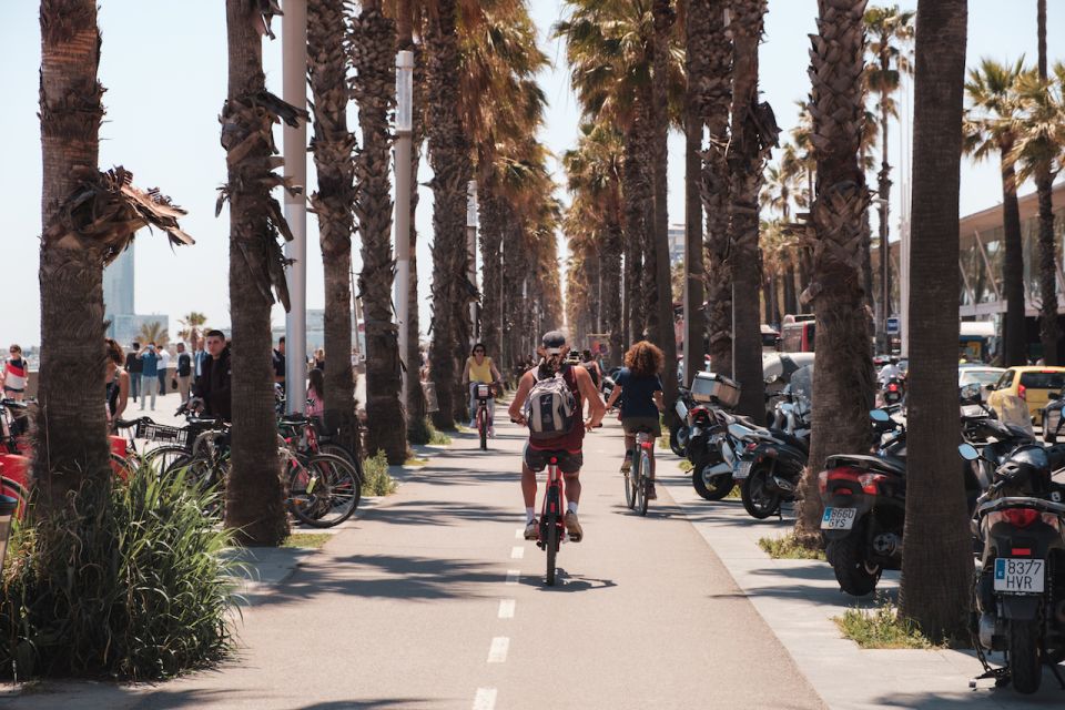Barcelona: Guided Bike or E-Bike City Tour - Ciutadella Park and Arc de Triomf: a break from crowds, not from views