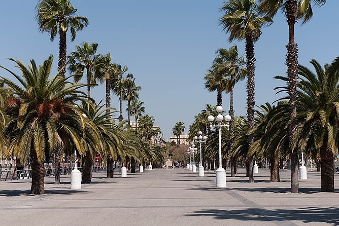 Barcelona Half-Day Sightseeing Private Tour - Stop 3: Park Güell in 45 minutes (and why timing feels tight)
