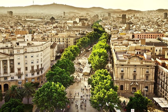 Barcelona Half-Day Sightseeing Private Tour - Hotel pickup and the air-conditioned ride that saves energy