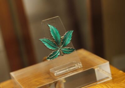 Barcelona: Hash Marihuana & Hemp Museum Entry Ticket - Entering a modernista palace with a cannabis-focused permanent collection