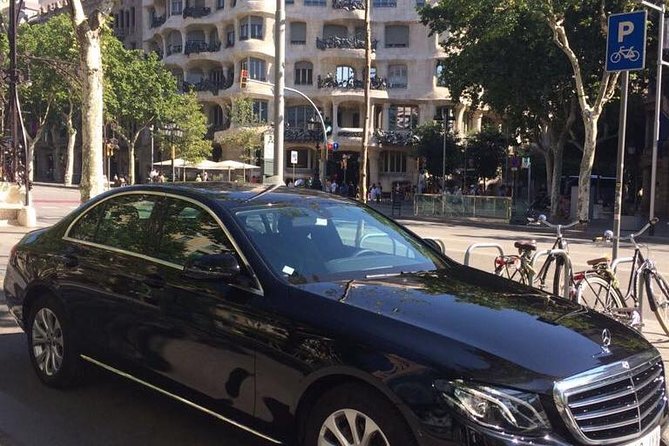 Barcelona Highlights Private Tour with Port or Hotel Transfers - Guide option: when the licensed guide is worth the extra thought