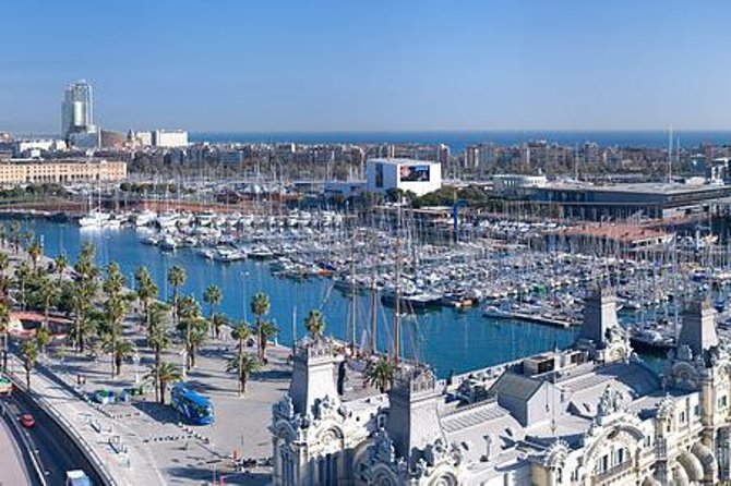 Barcelona Highlights Private Tour with Port or Hotel Transfers - Getting picked up at your hotel or the Port (and avoiding the headache)
