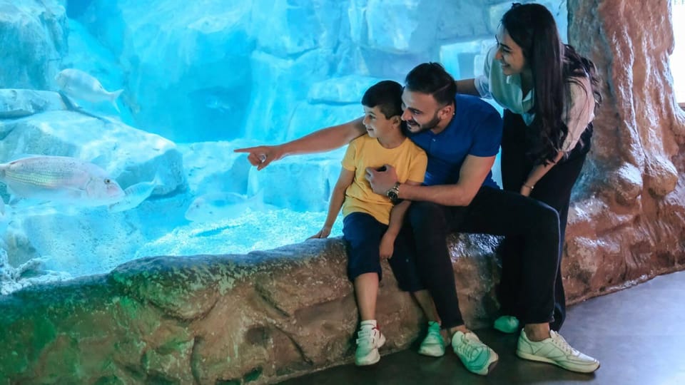 Barcelona: Hop-On Hop-Off Bus & Aquarium Tour - Key points worth knowing before you go