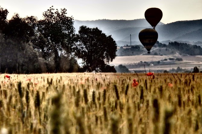 Barcelona: Montserrat Hot Air Balloon Ride with Champagne Toast - Who This Suits Best: Couples, Families, and First-Timers
