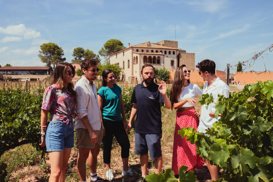 Barcelona: Montserrat with Winery, Lunch, and Train Options - The 10th-Century Winery Castle: Lunch, Tapas, Cellar Tour, and Tastings