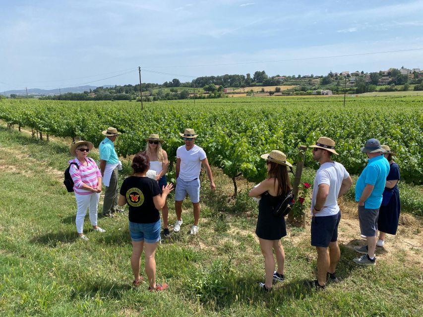 Barcelona: Montserrat with Winery Visit and Farmhouse Lunch - Price and value at $147: what’s included, what’s extra