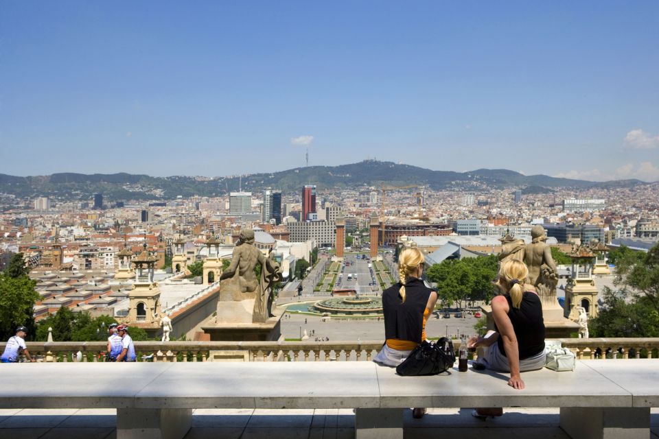 Barcelona: Museu Nacional d'Art de Catalunya Entrance Ticket - Rooftop and terraces: the views are part of the pitch, so check status