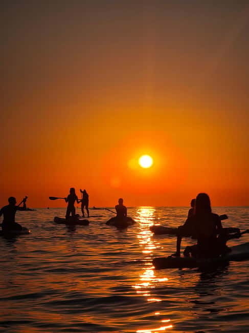 Barcelona: Paddleboarding at Sunrise. Includes: instructor, photos, equipment - Quick planning tips so the morning feels easy