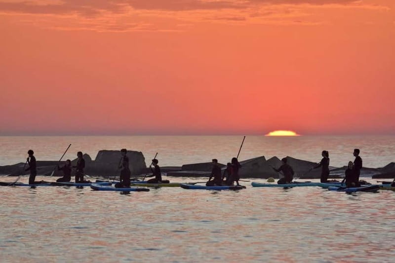 Barcelona: Paddleboarding at Sunrise. Includes: instructor, photos, equipment - Getting on the board: how the technique lesson keeps it fun