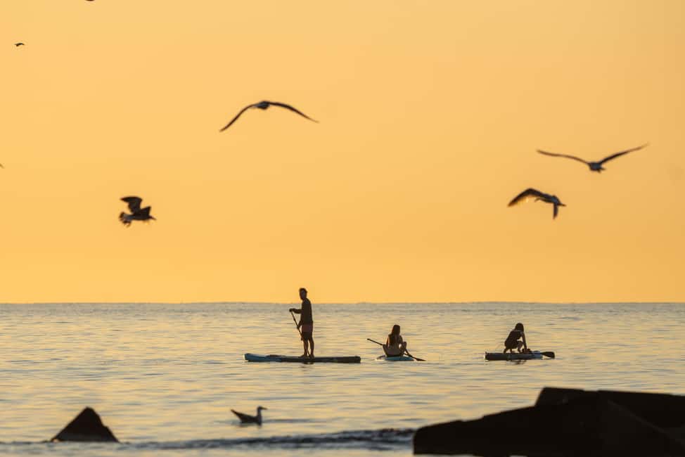 Barcelona: Paddlesurf Rental Barceloneta beach (75min) - The flow of your 75 minutes: lockers, board pickup, then sea time