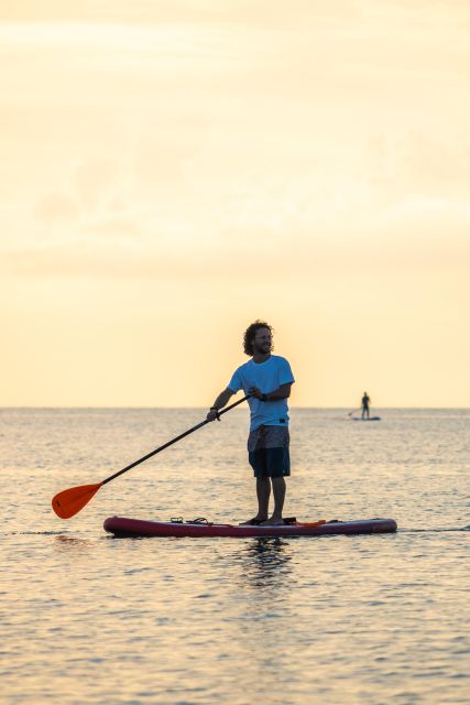 Barcelona: Paddlesurf Rental Barceloneta beach (75min) - Jellyfish reality check: what to ask before you paddle
