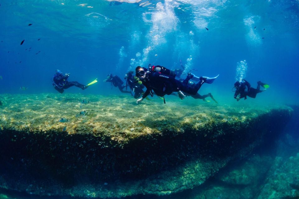 Barcelona: PADI Discover Scuba Diving - Who Should Book This (and Who Should Not)