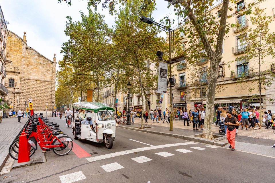 Barcelona: Private City Tour by Eco Tuk Tuk - Port Vell, Ciutadella Park, and Arc de Triomf again: city to seaside rhythm