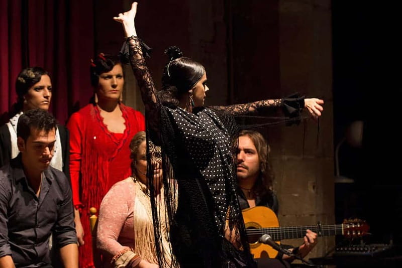 Barcelona: Private Tapas & Wine with Flamenco Show Old Town - Who this tour suits best (and who should skip it)