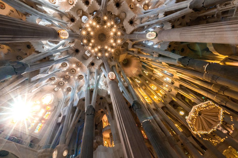 Barcelona: Sagrada Familia and Park Guell Combo Guided Tour - Guide Quality Turns Details into Meaning