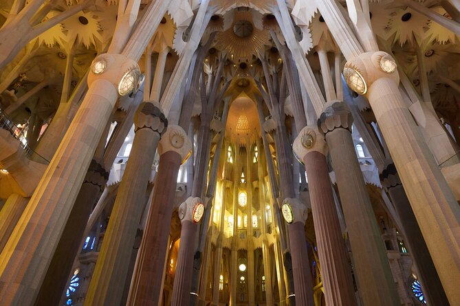 Barcelona: Sagrada Familia Guided English Tour Skip The Line - Inside the Basilica: The Colored Glow and the Forest-Like Nave