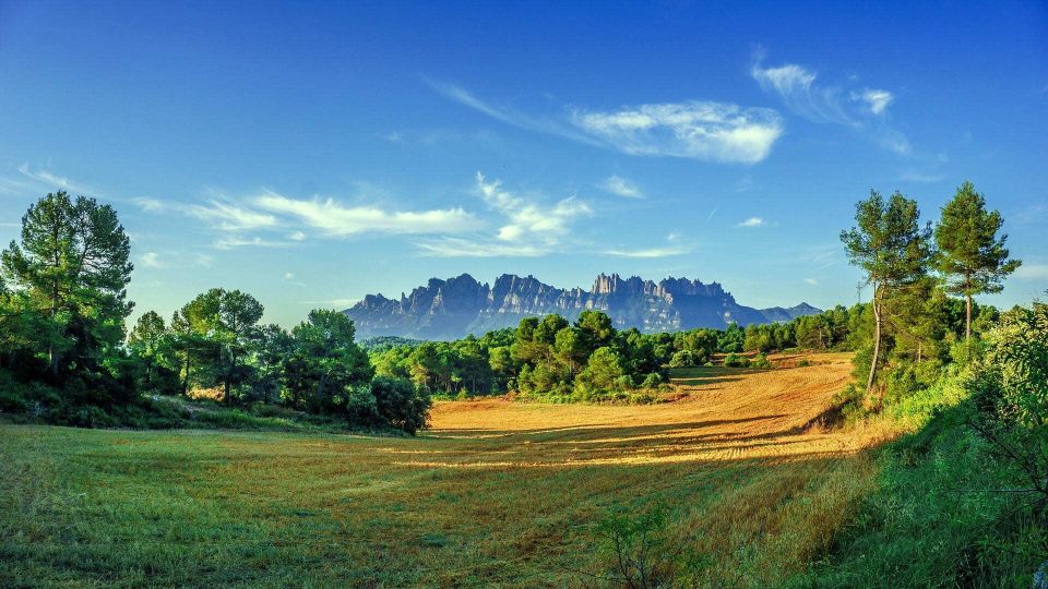 Barcelona: Sagrada Familia & Montserrat Full-Day with Pickup - What the Best Guides Do (And Why You’ll Care)