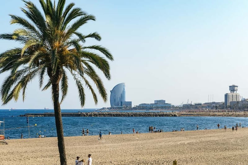 Barcelona: Sagrada Familia or City Tour by Bike or eBike - The 11am option: Sagrada Familia plus the Gaudí houses