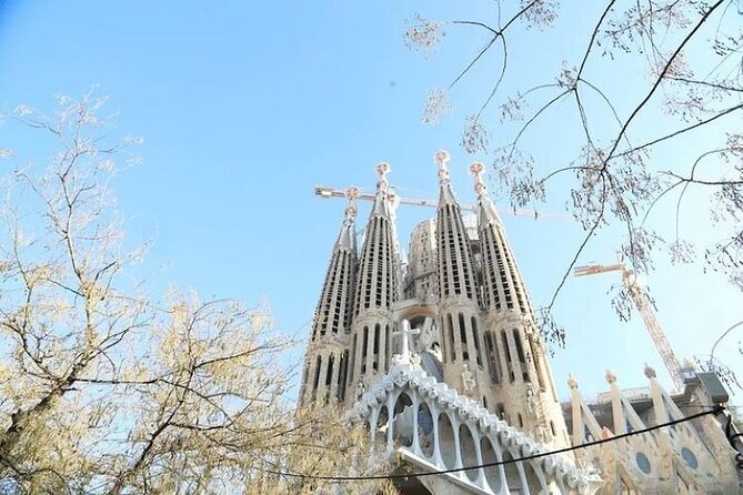 Barcelona: Sagrada Familia Skip The Line Insider Guided Tour - The Sagrada Familia Museum stop that makes the building click