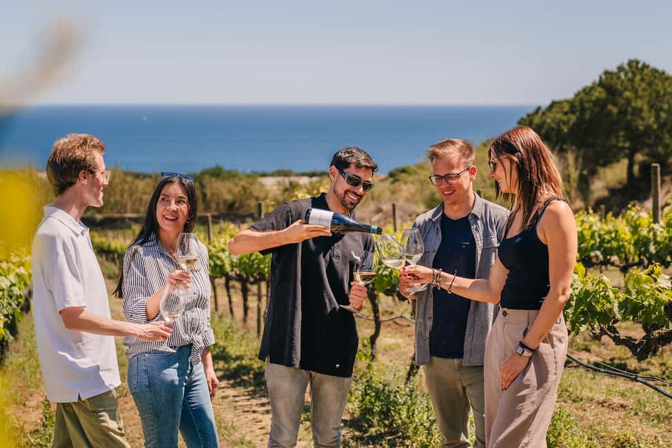 Barcelona: Sailing Cruise & Vineyard Tour with Wine Tasting - Barcelona Coast by Sail: The Part You’ll Talk About