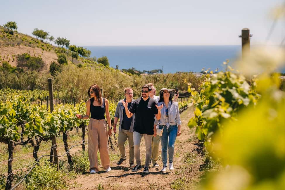Barcelona: Sailing Cruise & Vineyard Tour with Wine Tasting - Timing and Group Size: Why This Tour Feels Efficient