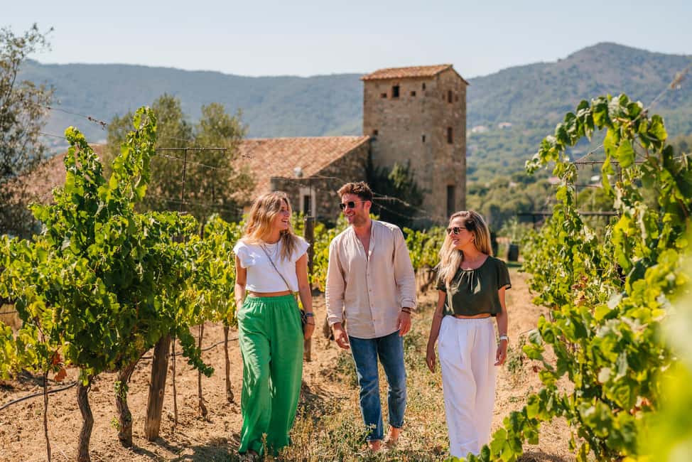 Barcelona: Sailing Cruise & Vineyard Tour with Wine Tasting - Who Should Book This Alella Wine and Sail Day
