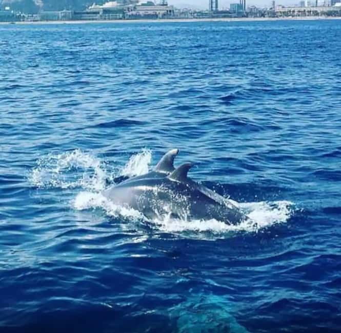 Barcelona: Sailing Tour with Drinks and Snacks - Key highlights worth circling
