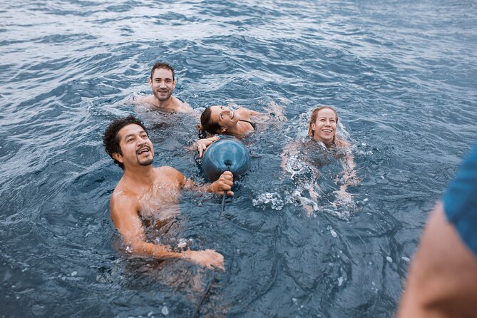 Barcelona Sunset Cruise with Open Bar of Cava and Snacks - Open Bar Cava and Snacks: Solid Value With a Real-World Caveat