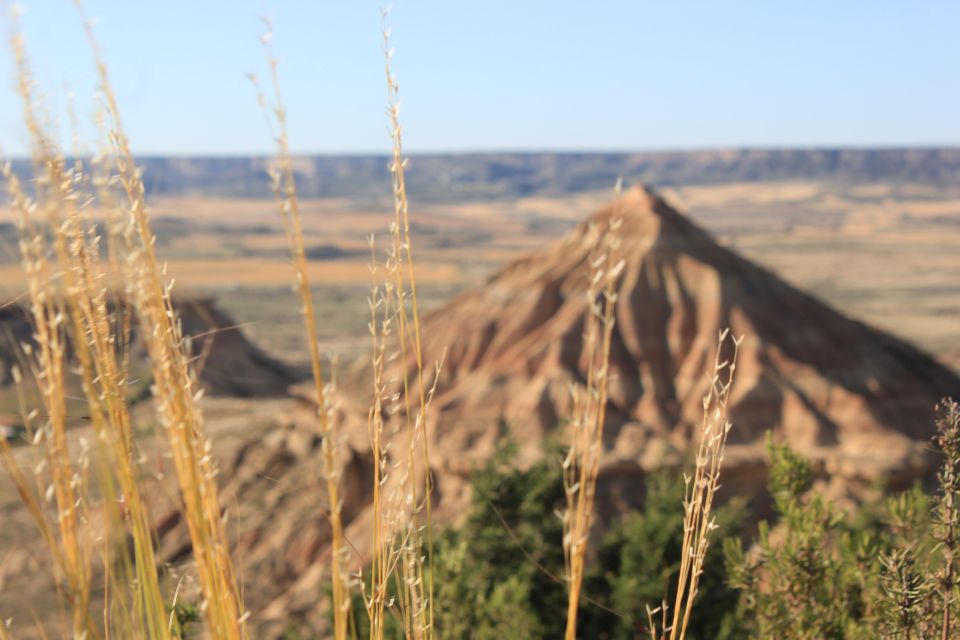 Bardenas Reales: Guided tour in 4x4 private vehicle - Price and value: is $259 for up to 6 a fair deal?