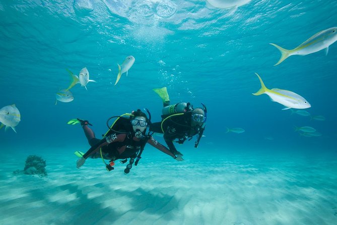 Beginners Scuba Diving Experience in Gran Canaria - What You Get in 2 Hours (and Why It’s Great Value)