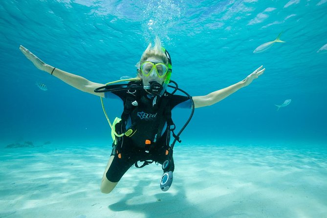 Beginners Scuba Diving Experience in Gran Canaria - Meeting at Blue Water and Getting Set Up Fast