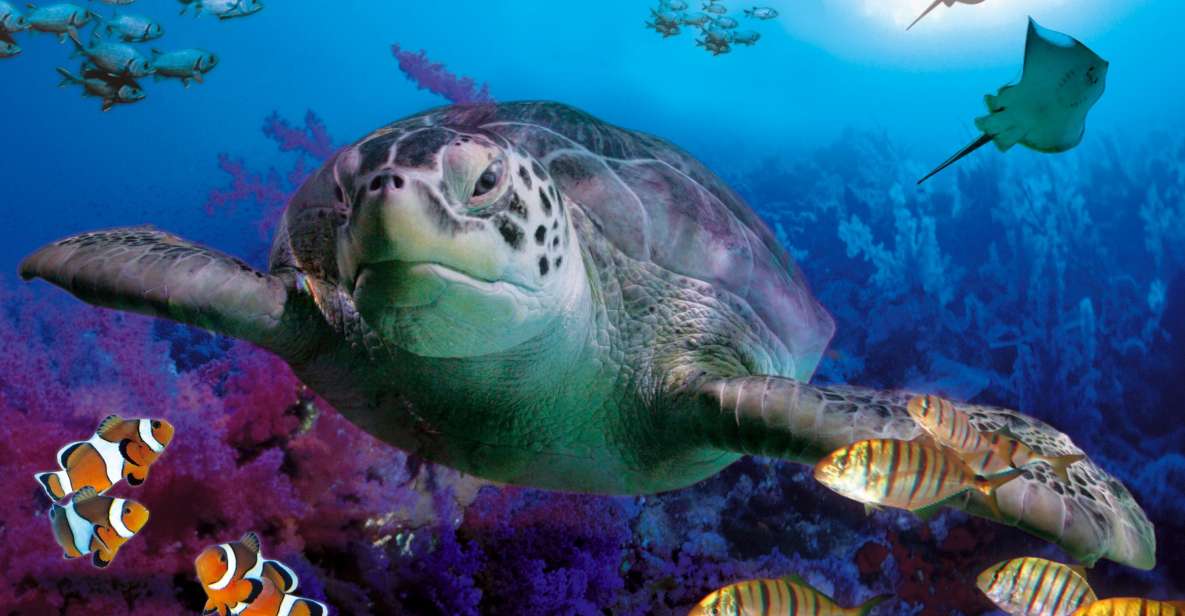 Benalmadena Aquarium Visit - Key highlights you’ll actually care about
