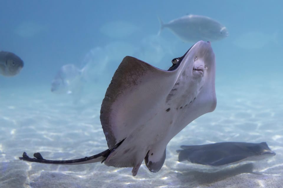 Benalmadena Aquarium Visit - Where to go next in Benalmádena: mini golf and a relaxed afternoon