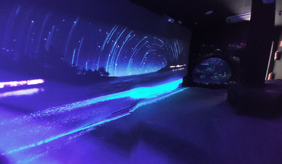 Benalmadena Aquarium Visit - The 180º submarine tunnel with sharks and a green turtle