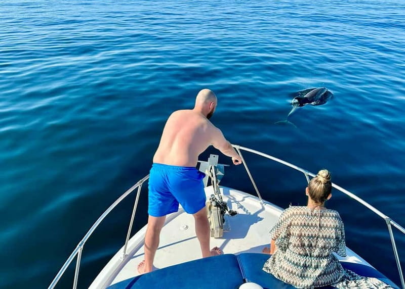 Benalmádena Boat Tour with Snorkeling, Water Slide and Lunch - Dolphins watching: the long warm-up that sets expectations