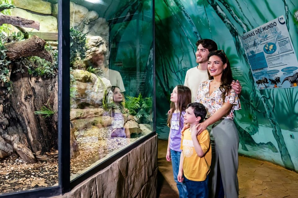 Benalmadena: Selwo Marina Admission Ticket - Talks and Conservation Messaging: Why It’s More Than Entertainment