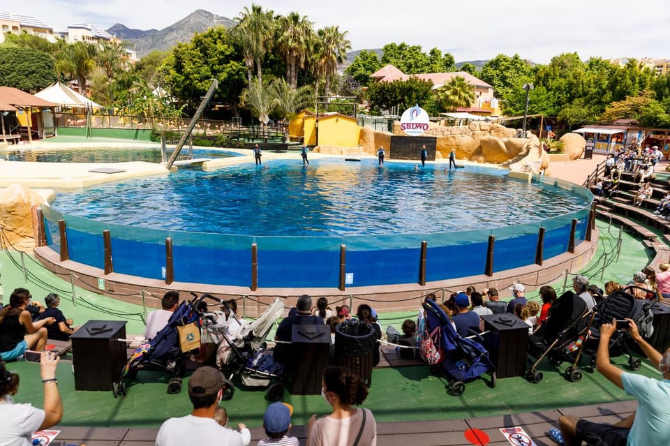 Benalmadena: Selwo Marina Admission Ticket - Food, Photos, and Shopping: Budget Reality Check
